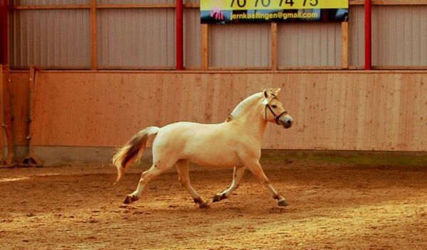 Billede
