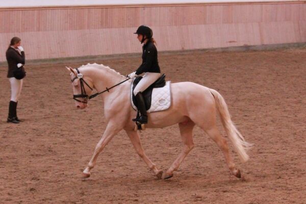 Billede