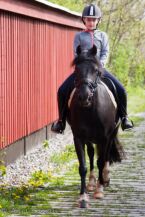 Billede