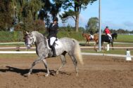 Billede