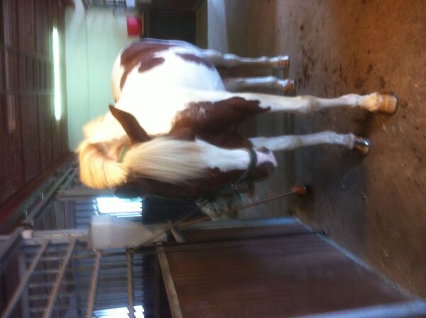 Billede
