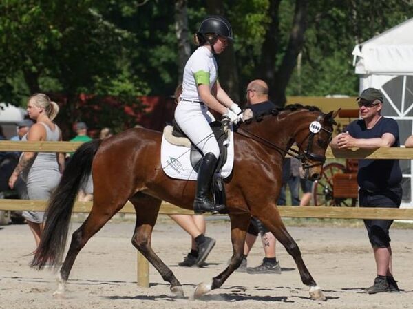 Billede