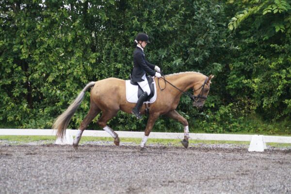 Billede