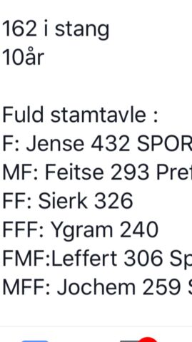 Billede