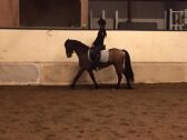 Billede
