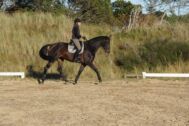 Billede