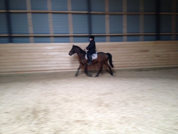 Billede