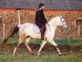 Billede
