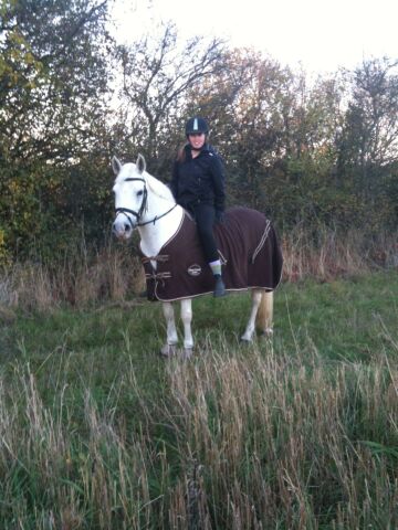 Billede