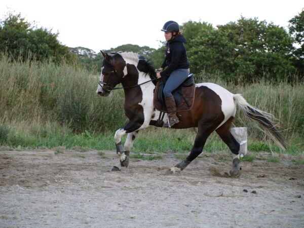 Billede