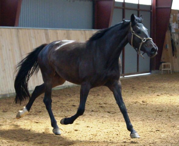 Billede
