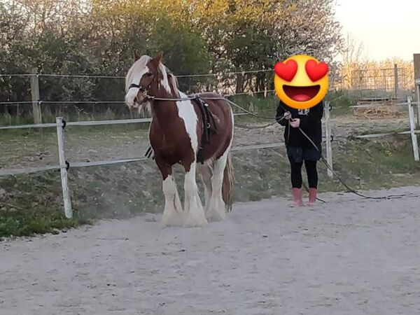Billede