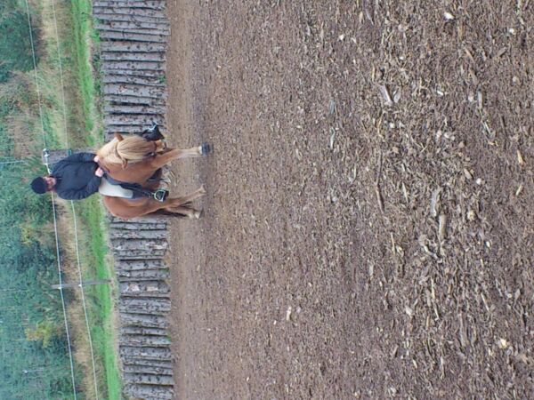 Billede