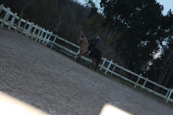 Billede