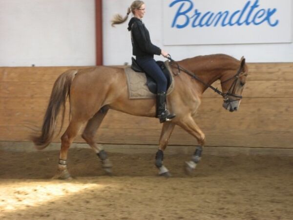 Billede