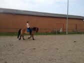Billede