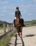Billede