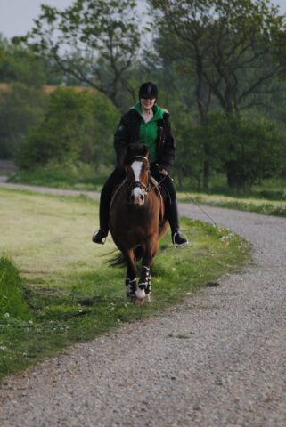 Billede
