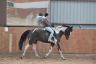 Billede