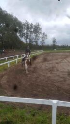 Billede