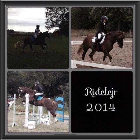 Billede