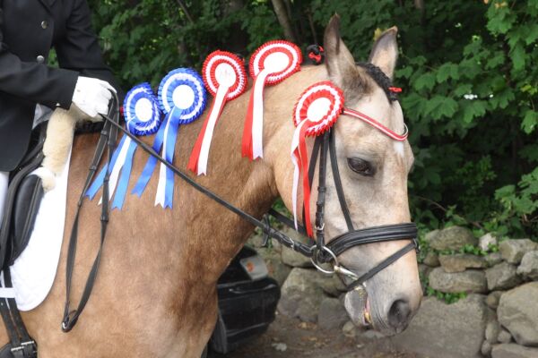 Billede