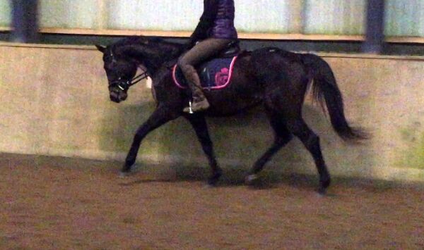 Billede
