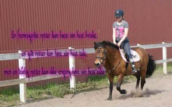 Billede