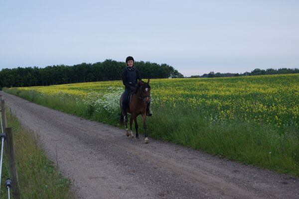 Billede