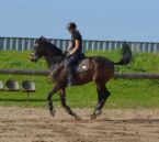 Billede
