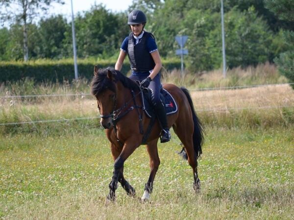 Billede