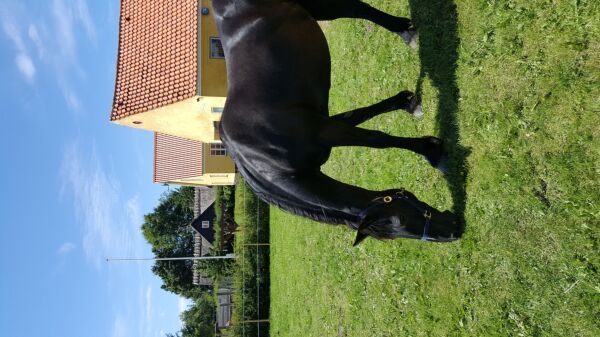 Billede