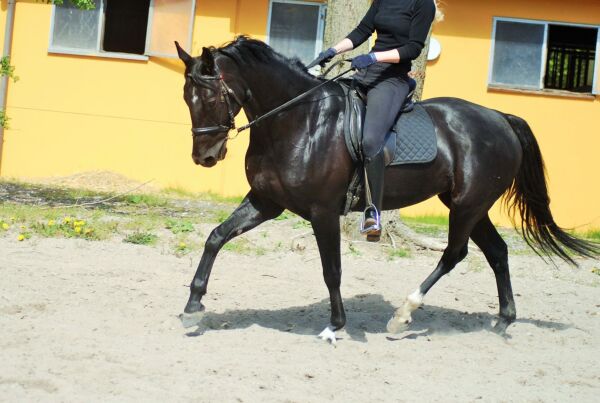 Billede