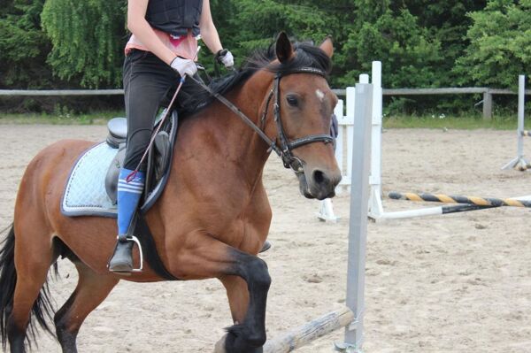Billede
