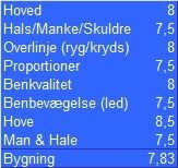 Billede