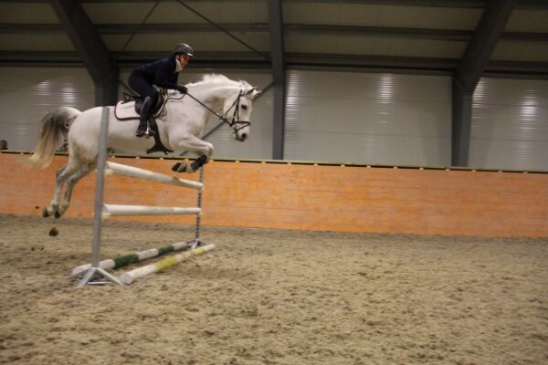 Billede
