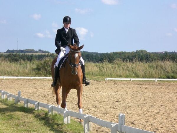 Billede