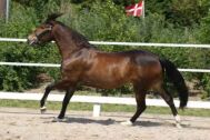 Billede