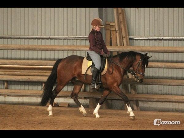 Billede