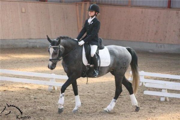 Billede