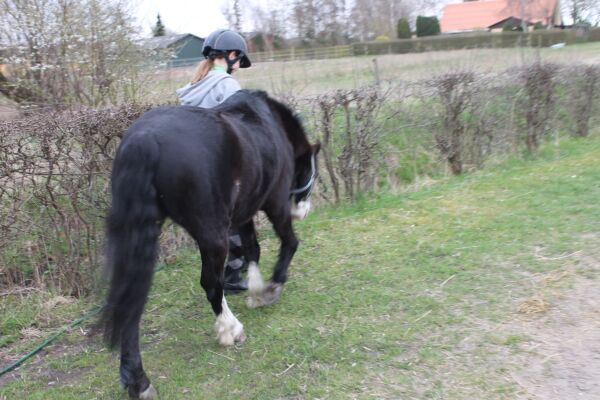 Billede