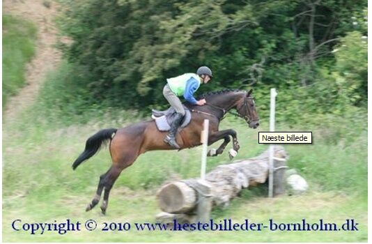 Billede