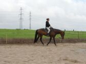 Billede