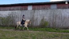 Billede