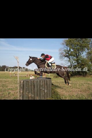 Billede