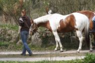 Billede
