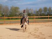 Billede