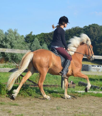 Billede