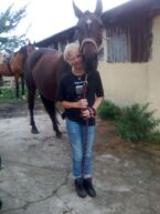 Billede