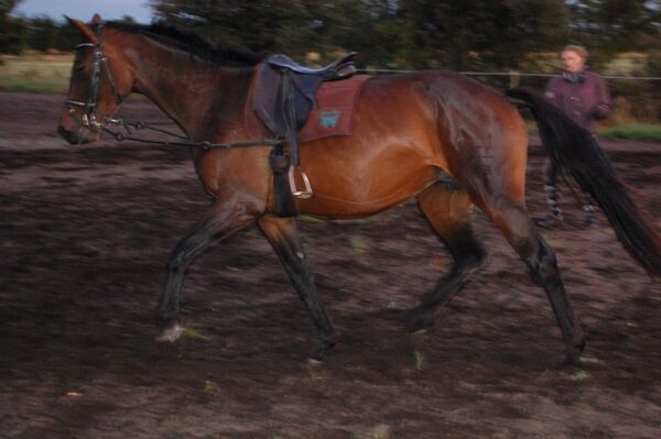 Billede